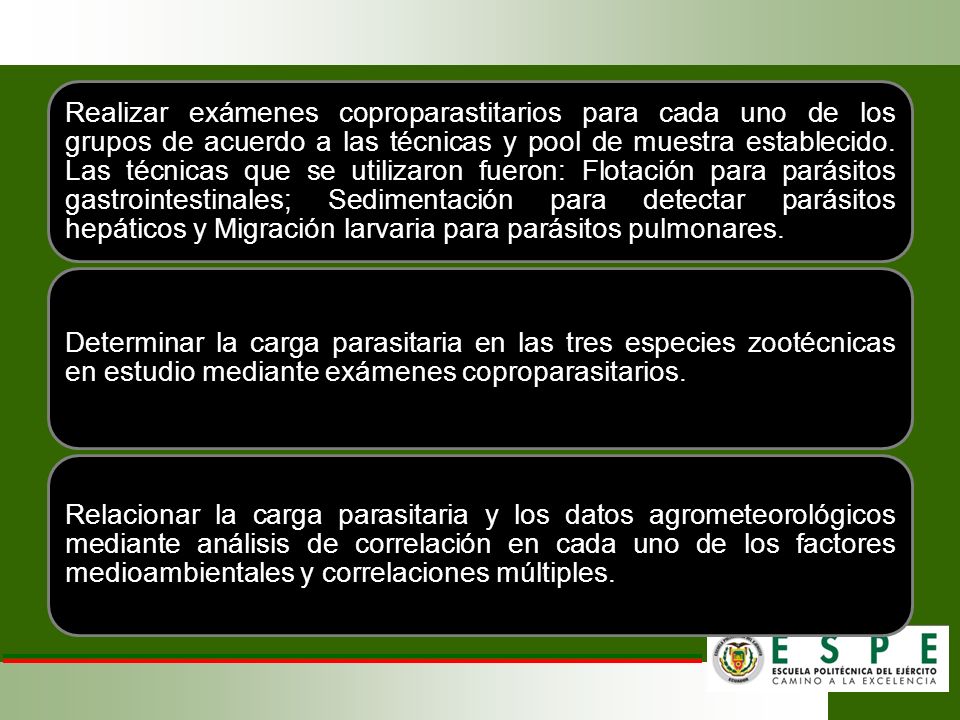 Realizar exámenes coproparastitarios para cada uno de los grupos de acuerdo a las técnicas y pool de muestra establecido. Las técnicas que se utilizaron fueron: Flotación para parásitos gastrointestinales; Sedimentación para detectar parásitos hepáticos y Migración larvaria para parásitos pulmonares.