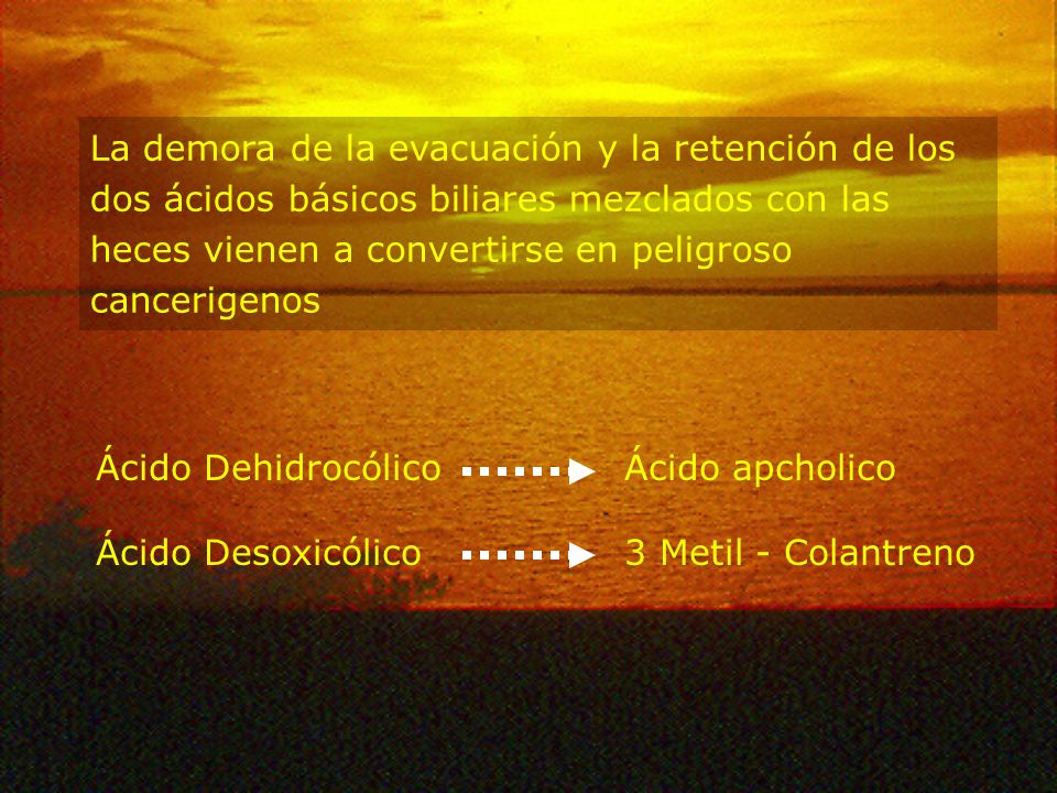 La demora de la evacuación y la retención de los dos ácidos básicos biliares mezclados con las heces vienen a convertirse en peligroso cancerigenos