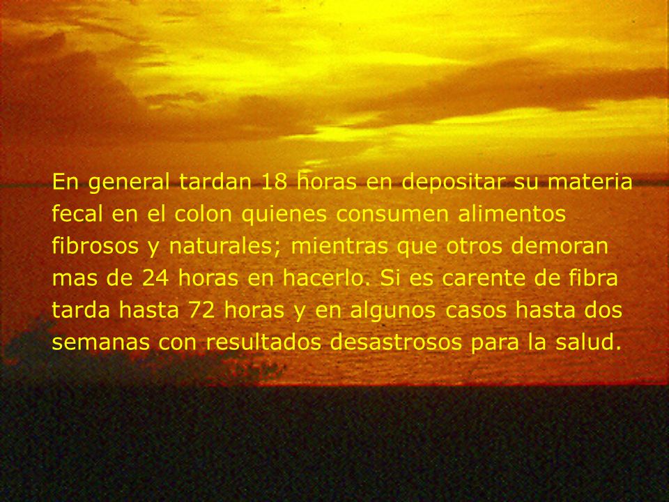 En general tardan 18 horas en depositar su materia fecal en el colon quienes consumen alimentos fibrosos y naturales; mientras que otros demoran mas de 24 horas en hacerlo.
