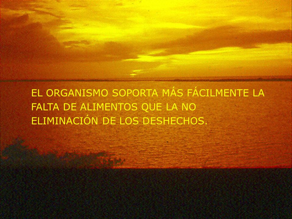 EL ORGANISMO SOPORTA MÁS FÁCILMENTE LA FALTA DE ALIMENTOS QUE LA NO ELIMINACIÓN DE LOS DESHECHOS.