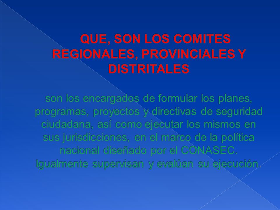 QUE, SON LOS COMITES REGIONALES, PROVINCIALES Y DISTRITALES son los encargados de formular los planes, programas, proyectos y directivas de seguridad ciudadana, así como ejecutar los mismos en sus jurisdicciones, en el marco de la política nacional diseñado por el CONASEC.