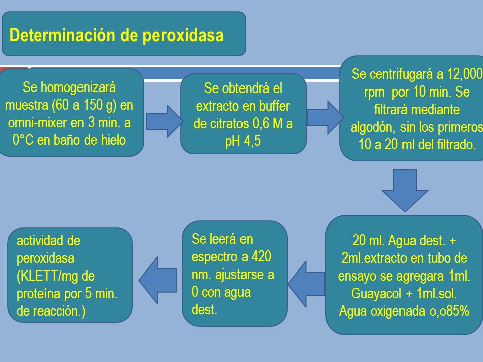 Se obtendrá el extracto en buffer de citratos 0,6 M a pH 4,5