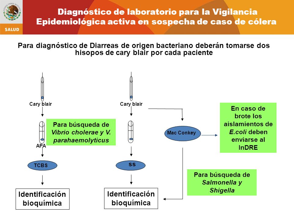 Diagnóstico de laboratorio para la Vigilancia Epidemiológica activa en sospecha de caso de cólera