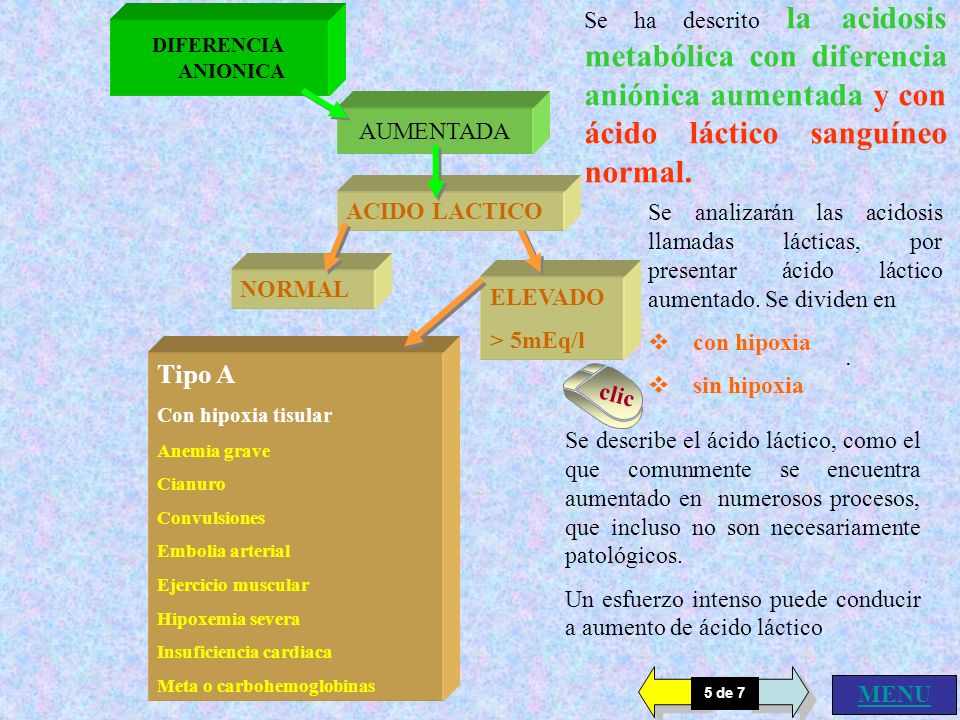 Se ha descrito la acidosis metabólica con diferencia aniónica aumentada y con ácido láctico sanguíneo normal.