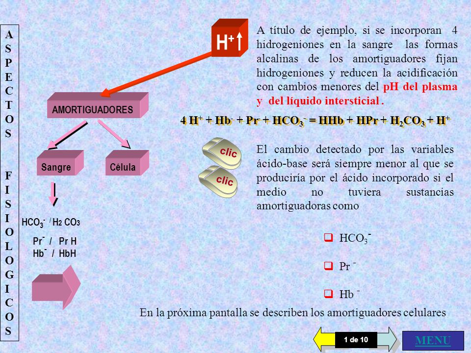 A título de ejemplo, si se incorporan 4 hidrogeniones en la sangre las formas alcalinas de los amortiguadores fijan hidrogeniones y reducen la acidificación con cambios menores del pH del plasma y del líquido intersticial .