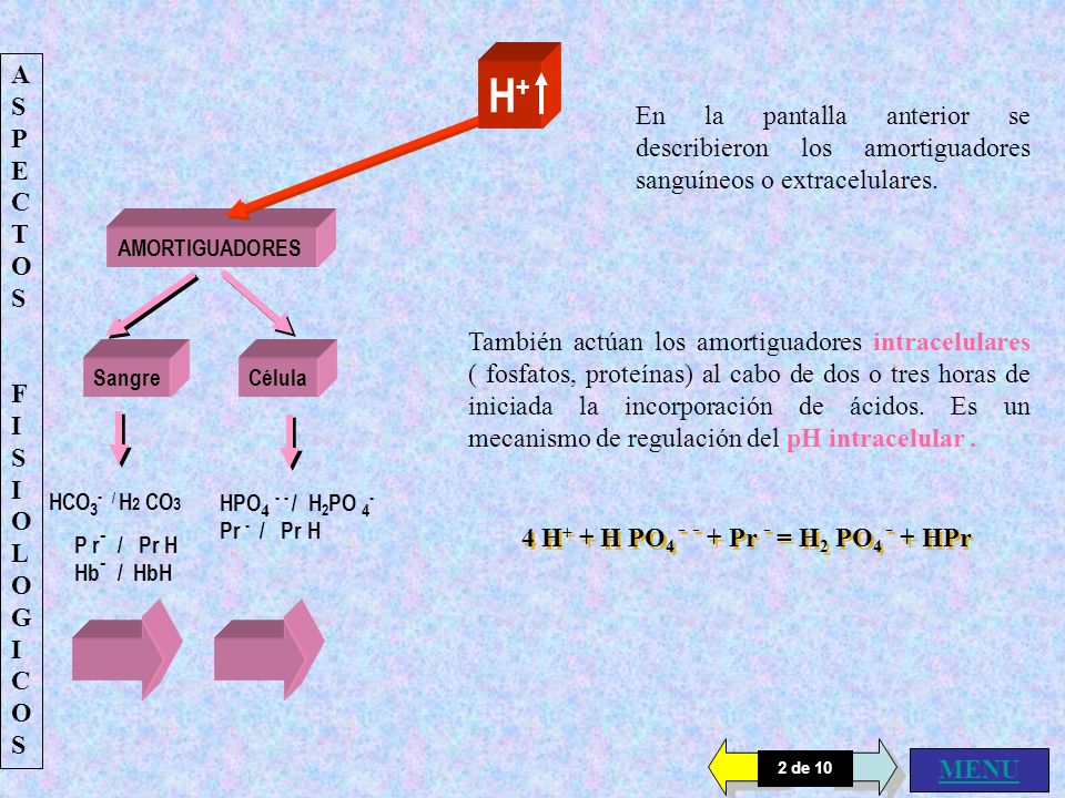 ASPECTOS FISIOLOGICOS. AMORTIGUADORES. Sangre. HCO3- / H2 CO3. P r- / Pr H. Hb- / HbH. H+