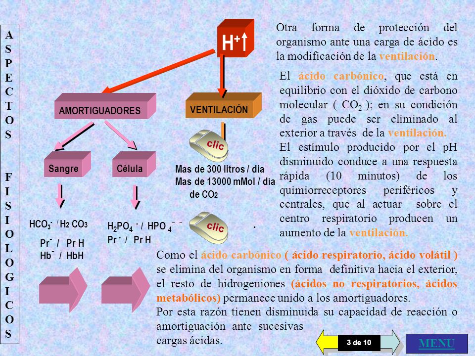 Otra forma de protección del organismo ante una carga de ácido es la modificación de la ventilación.