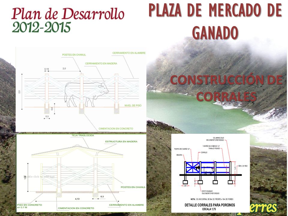 PLAZA DE MERCADO DE GANADO CONSTRUCCIÓN DE CORRALES