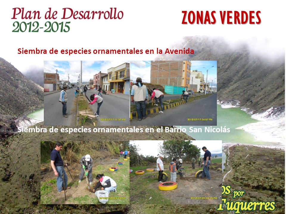 ZONAS VERDES Siembra de especies ornamentales en la Avenida