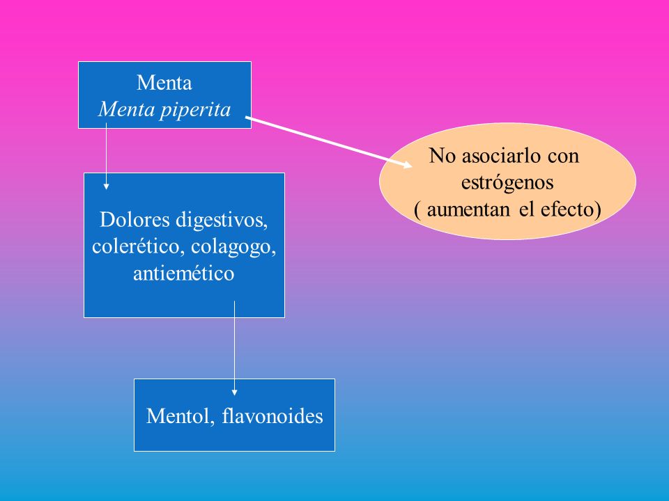 Menta Menta piperita. No asociarlo con. estrógenos. ( aumentan el efecto) Dolores digestivos, colerético, colagogo,