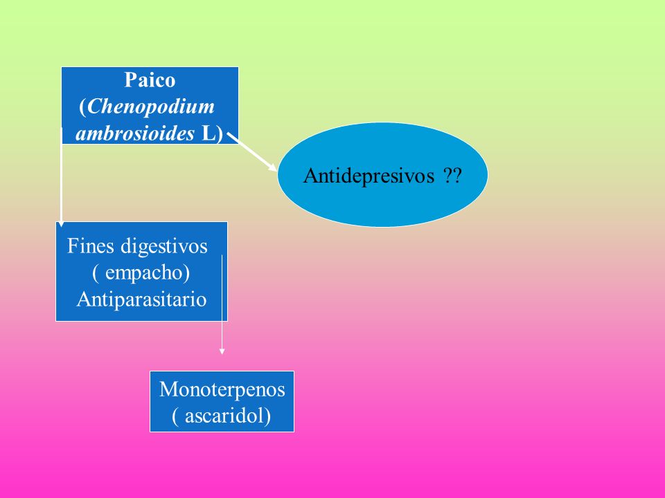 Paico (Chenopodium. ambrosioides L) Antidepresivos Fines digestivos. ( empacho) Antiparasitario.