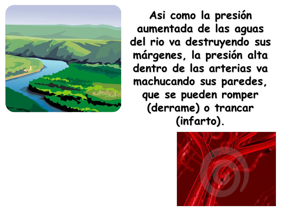 Asi como la presión aumentada de las aguas del rio va destruyendo sus márgenes, la presión alta dentro de las arterias va machucando sus paredes, que se pueden romper (derrame) o trancar (infarto).