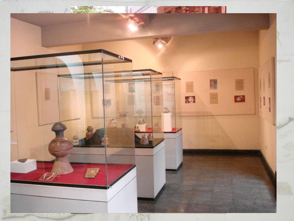 Museo de arqueología y antropología dela UNIVERSIDAD NACIONAL FEDERICO VILLAREAL