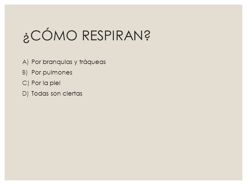 ¿CÓMO RESPIRAN Por branquias y tráqueas Por pulmones Por la piel