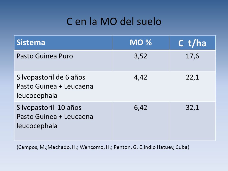 C en la MO del suelo C t/ha Sistema MO % Pasto Guinea Puro 3,52 17,6