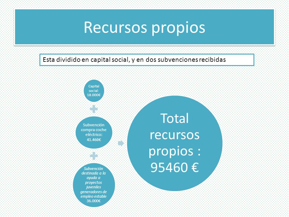 Recursos propios Esta dividido en capital social, y en dos subvenciones recibidas. Capital social: €