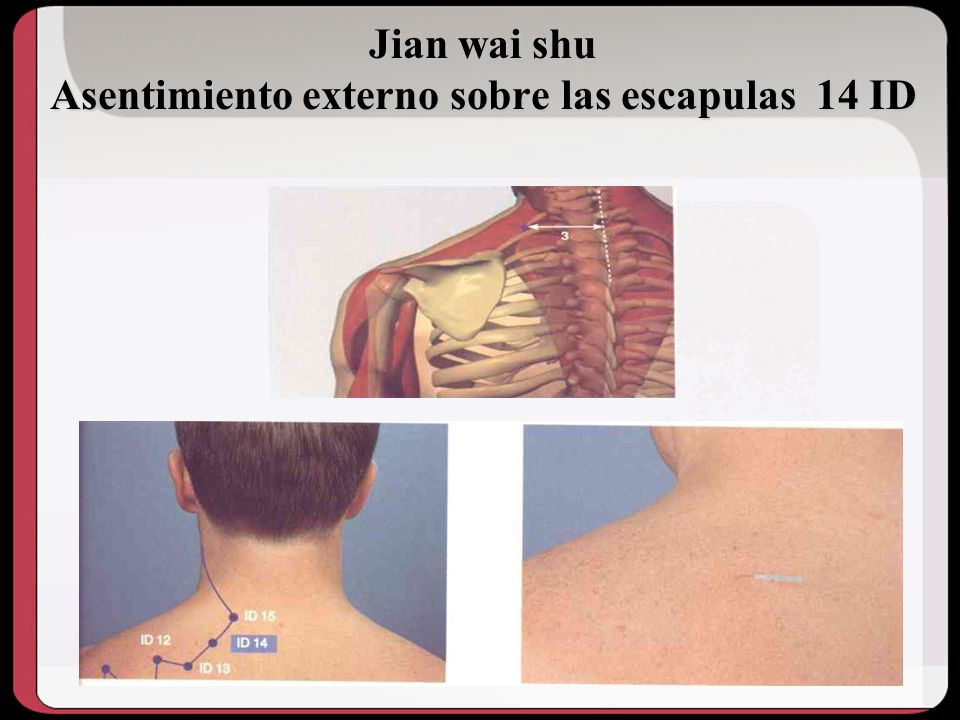 Jian wai shu Asentimiento externo sobre las escapulas 14 ID
