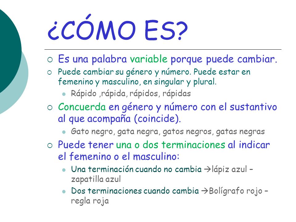 ¿CÓMO ES Es una palabra variable porque puede cambiar.