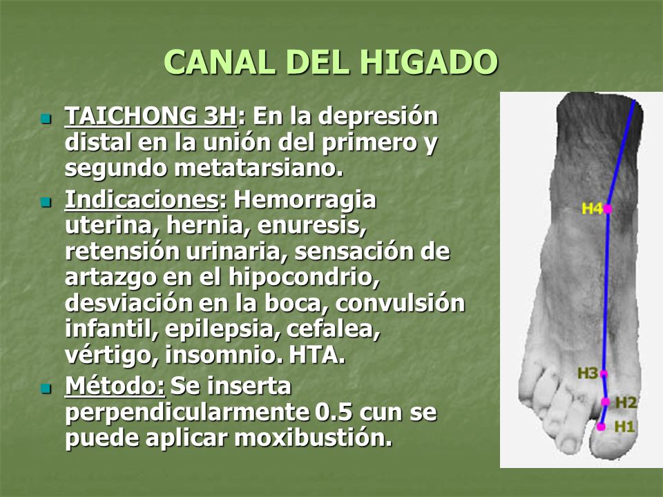 CANAL DEL HIGADO TAICHONG 3H: En la depresión distal en la unión del primero y segundo metatarsiano.