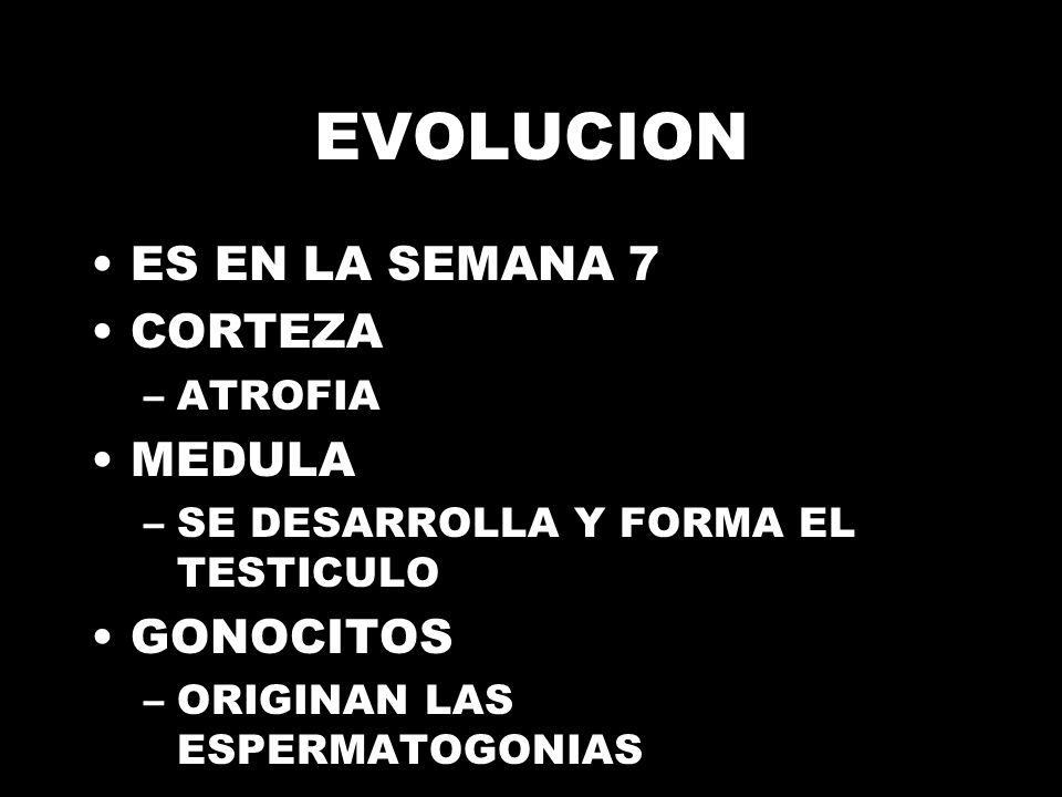 EVOLUCION ES EN LA SEMANA 7 CORTEZA MEDULA GONOCITOS ATROFIA