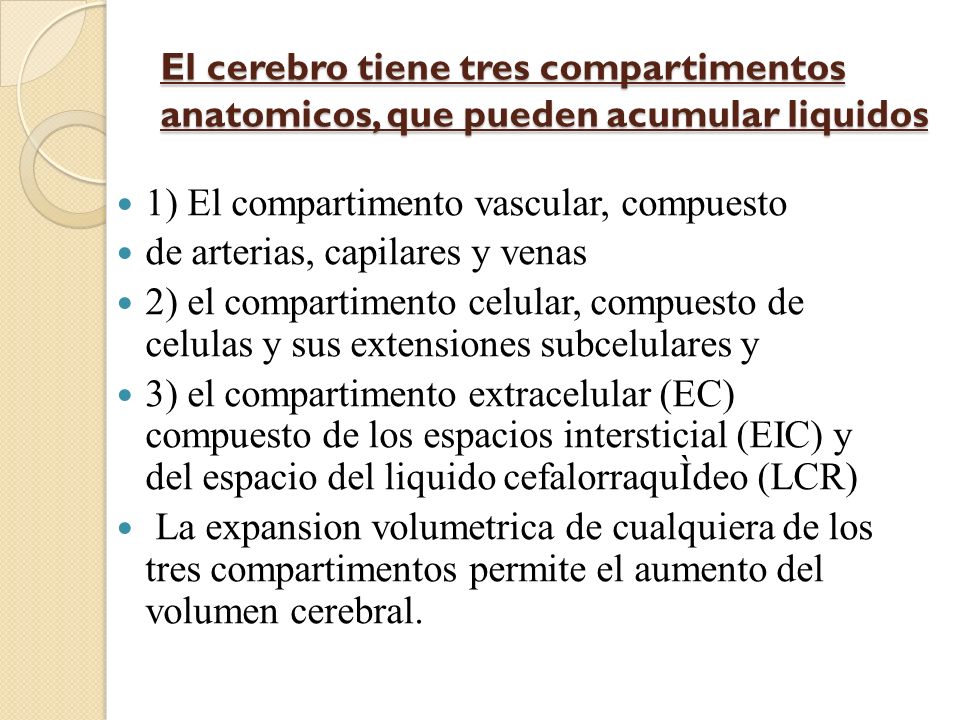 El cerebro tiene tres compartimentos anatomicos, que pueden acumular liquidos