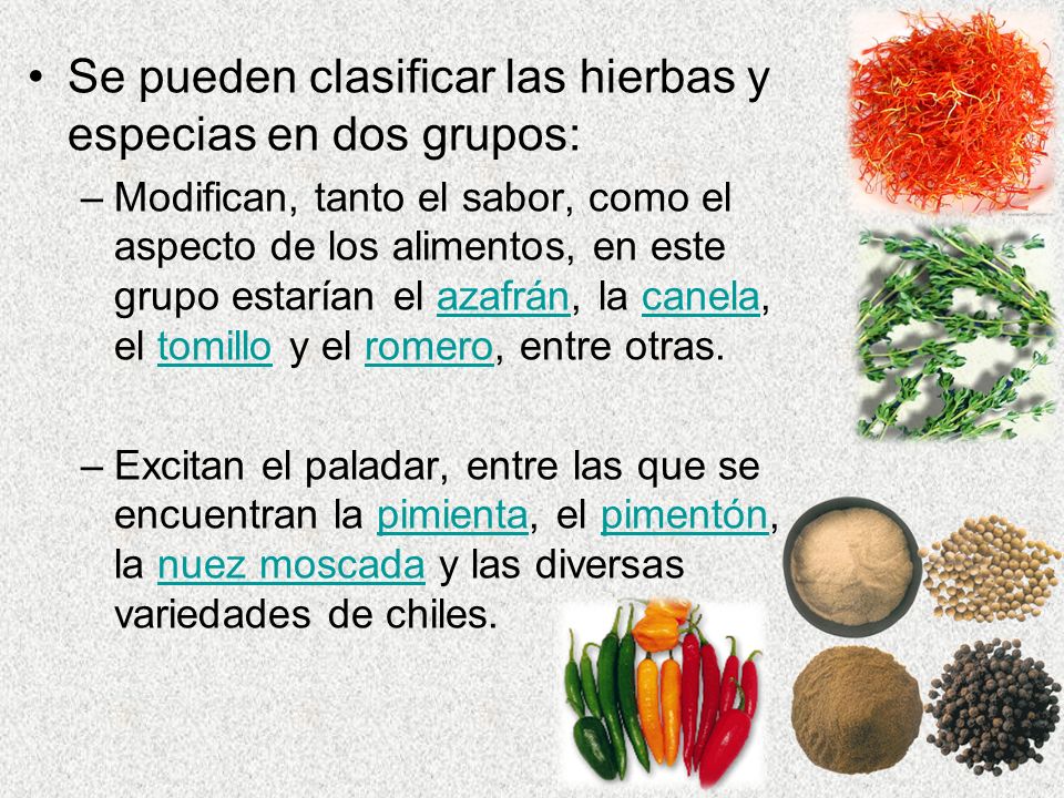 Se pueden clasificar las hierbas y especias en dos grupos: