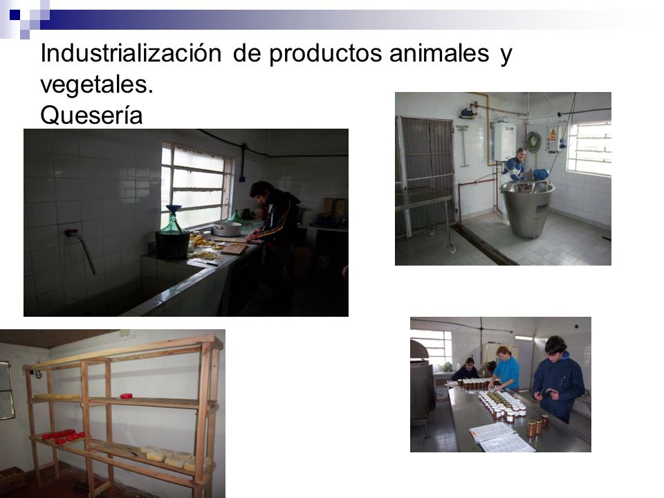 Industrialización de productos animales y vegetales. Quesería