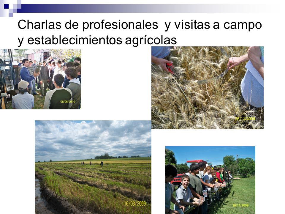 Charlas de profesionales y visitas a campo y establecimientos agrícolas