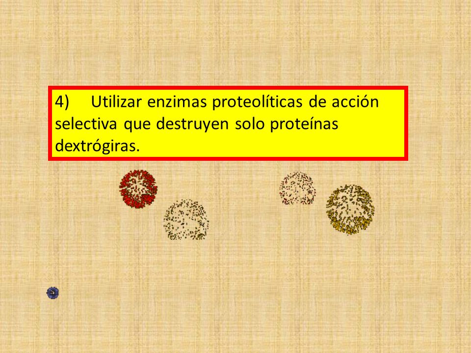 4) Utilizar enzimas proteolíticas de acción selectiva que destruyen solo proteínas dextrógiras.