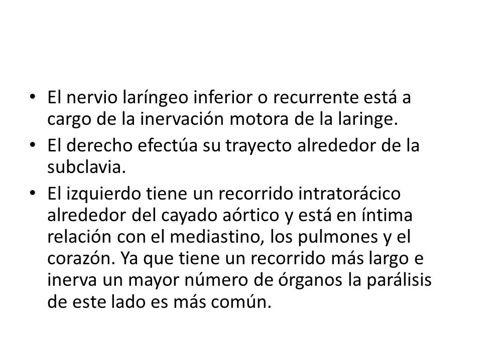 El nervio laríngeo inferior o recurrente está a cargo de la inervación motora de la laringe.