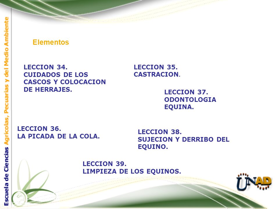 Elementos LECCION 34. CUIDADOS DE LOS CASCOS Y COLOCACION DE HERRAJES.