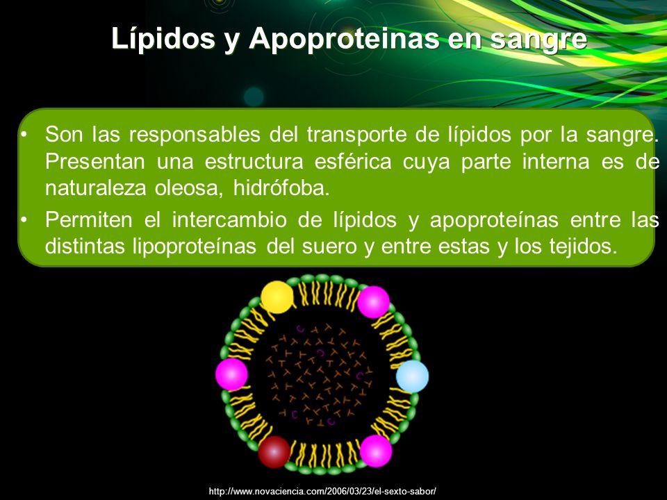Lípidos y Apoproteinas en sangre