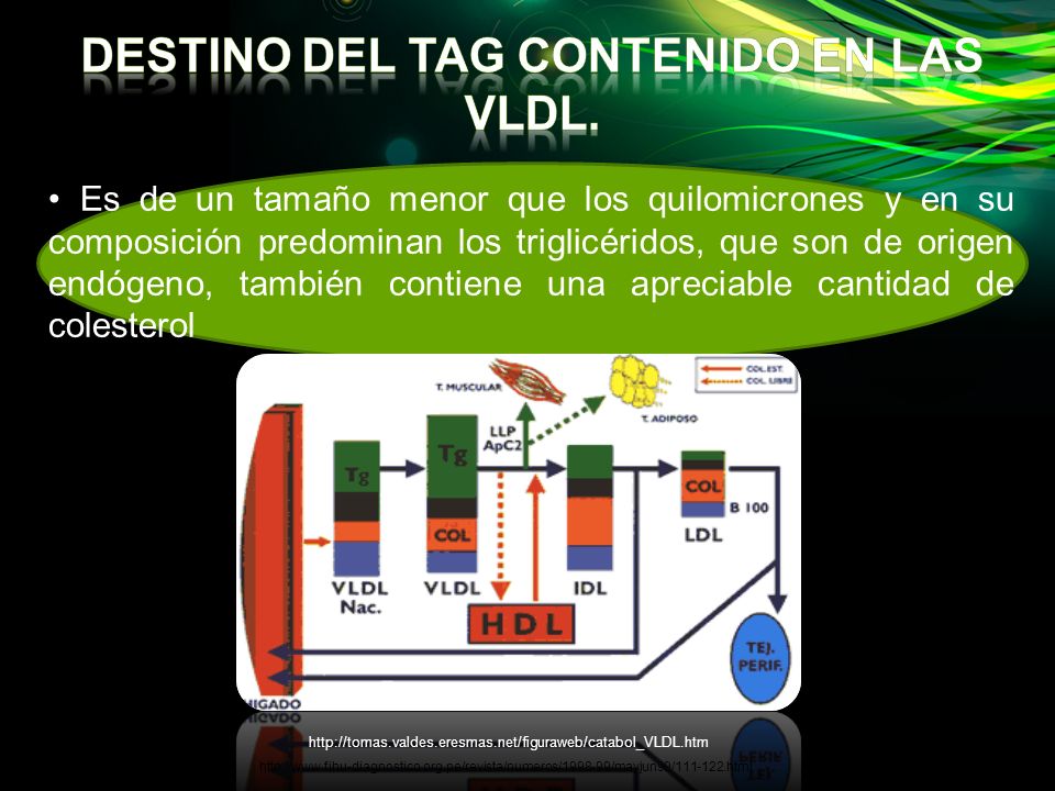 Destino del tag contenido en las vldl.