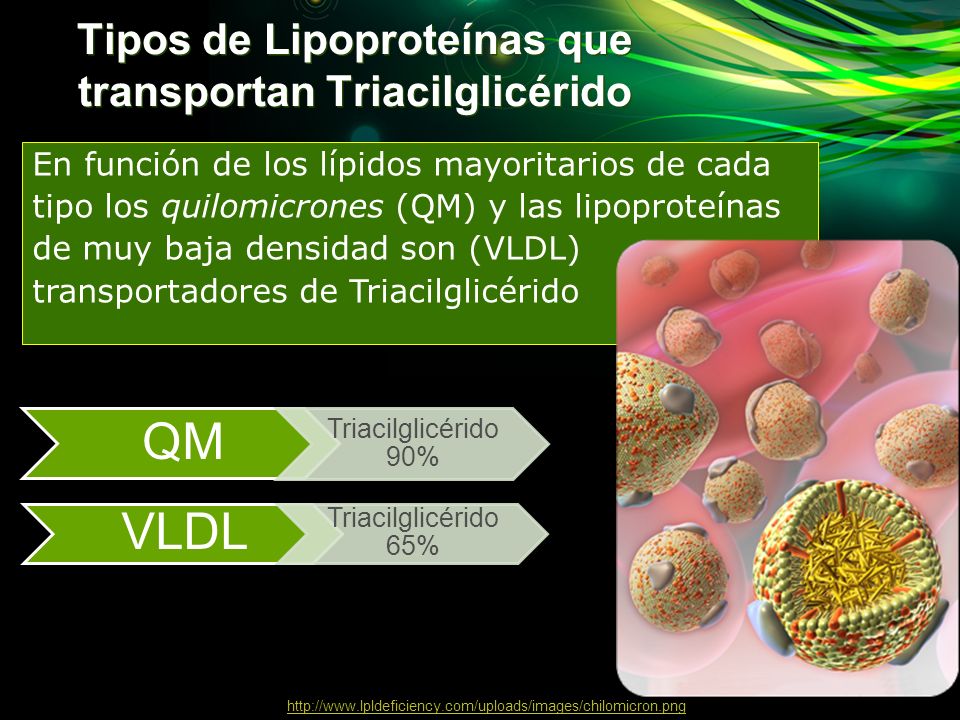 Tipos de Lipoproteínas que transportan Triacilglicérido