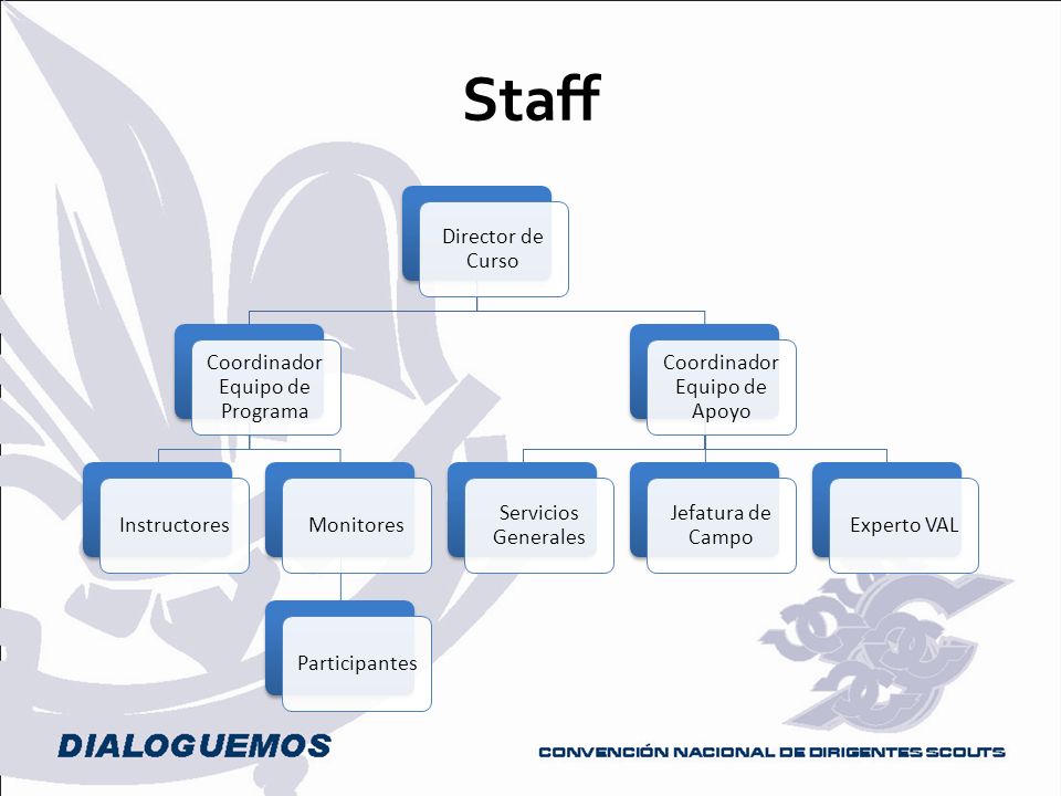 Staff Director de Curso Coordinador Equipo de Programa Instructores