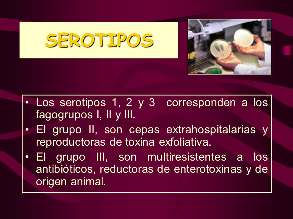 SEROTIPOS Los serotipos 1, 2 y 3 corresponden a los fagogrupos I, II y III.