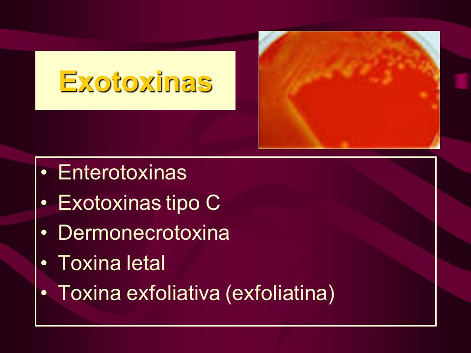 Exotoxinas Enterotoxinas Exotoxinas tipo C Dermonecrotoxina