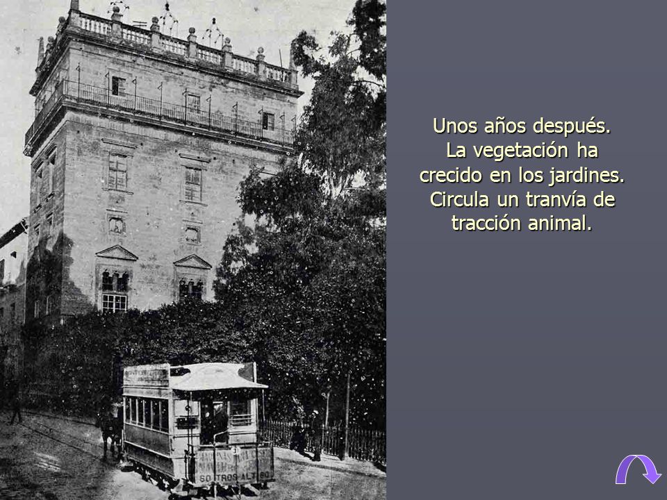Unos años después. La vegetación ha crecido en los jardines