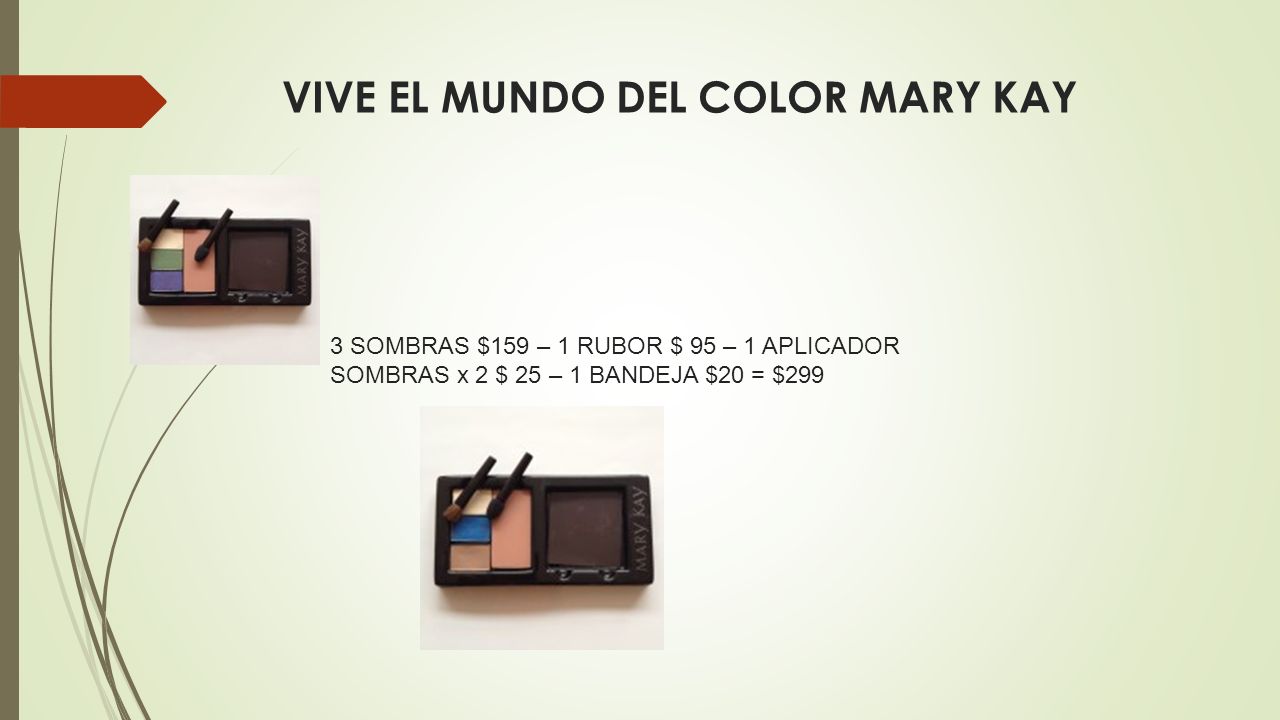 VIVE EL MUNDO DEL COLOR MARY KAY
