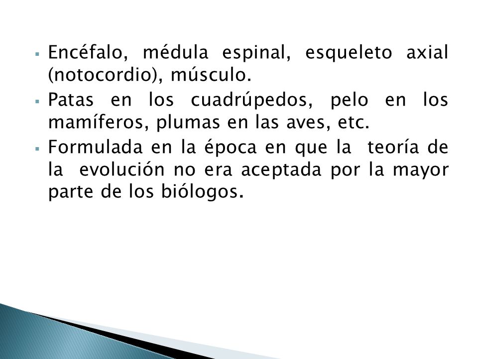 Encéfalo, médula espinal, esqueleto axial (notocordio), músculo.