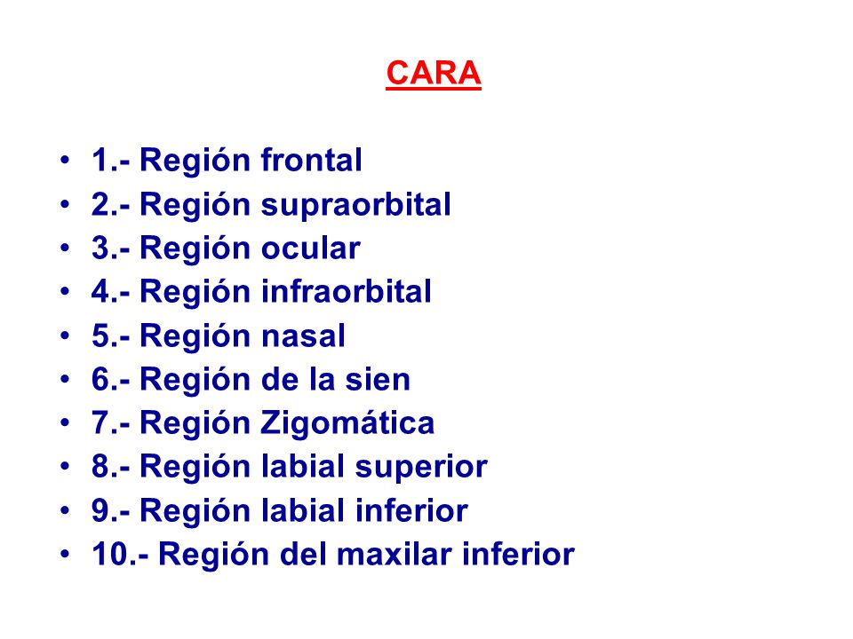 CARA 1.- Región frontal. 2.- Región supraorbital. 3.- Región ocular. 4.- Región infraorbital. 5.- Región nasal.