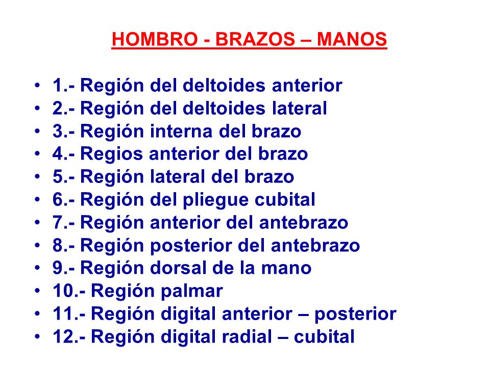 HOMBRO - BRAZOS – MANOS 1.- Región del deltoides anterior. 2.- Región del deltoides lateral. 3.- Región interna del brazo.