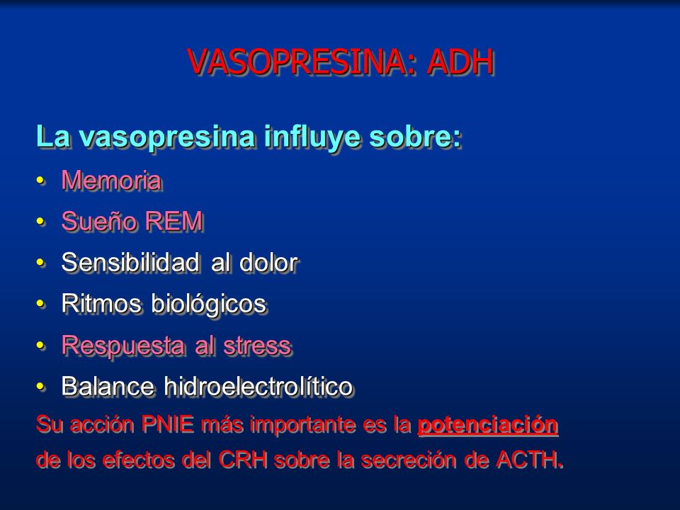 VASOPRESINA: ADH La vasopresina influye sobre: Memoria Sueño REM