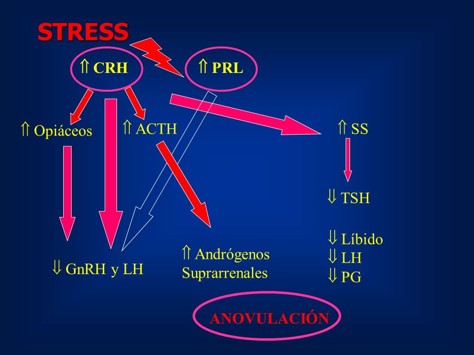 STRESS  CRH  PRL  Opiáceos  ACTH  SS  TSH  Líbido LH PG