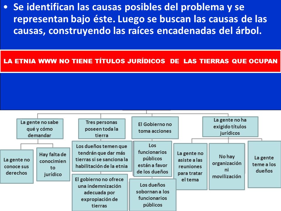 Se identifican las causas posibles del problema y se representan bajo éste. Luego se buscan las causas de las causas, construyendo las raíces encadenadas del árbol.
