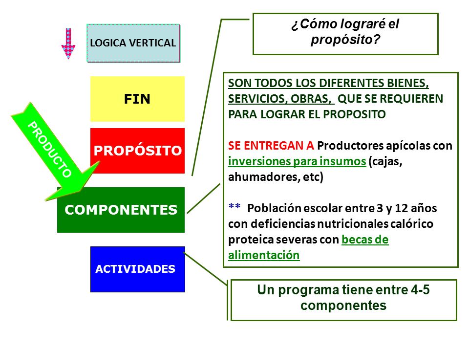 ¿Cómo lograré el propósito Un programa tiene entre 4-5 componentes