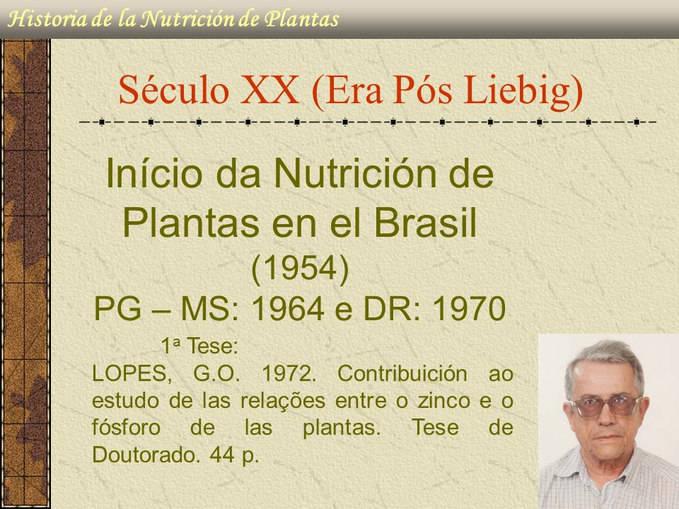Século XX (Era Pós Liebig)