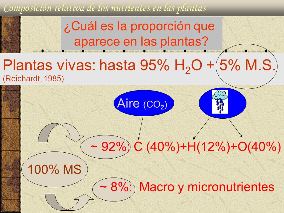 Plantas vivas: hasta 95% H2O + 5% M.S. (Reichardt, 1985)
