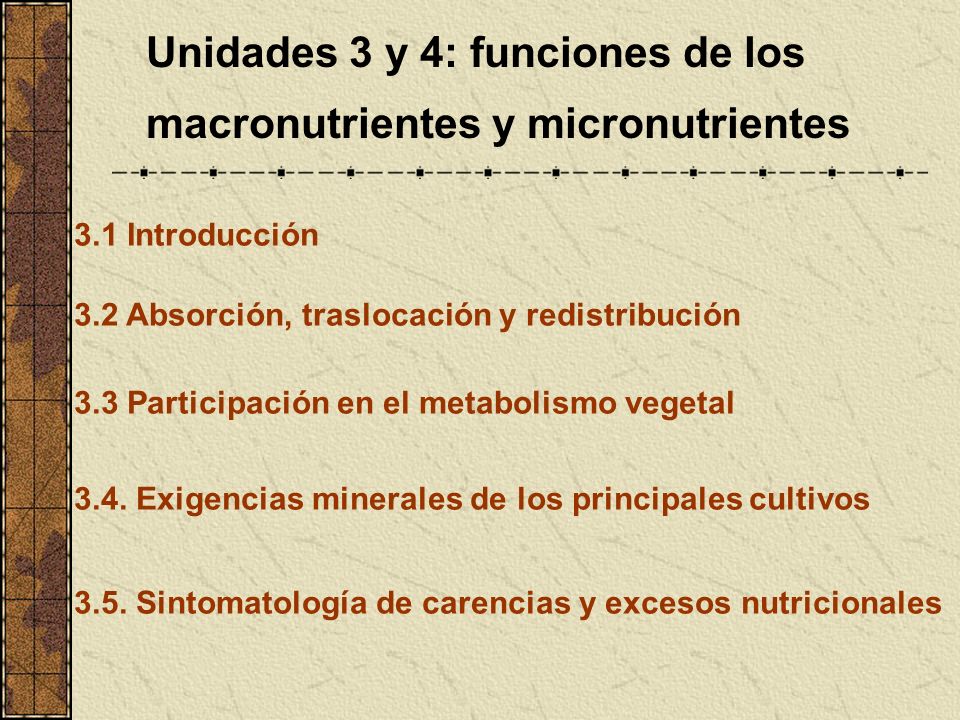 Unidades 3 y 4: funciones de los macronutrientes y micronutrientes