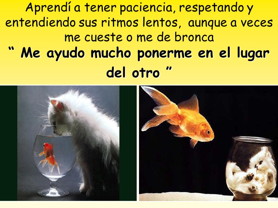 Aprendí a tener paciencia, respetando y entendiendo sus ritmos lentos, aunque a veces me cueste o me de bronca Me ayudo mucho ponerme en el lugar del otro
